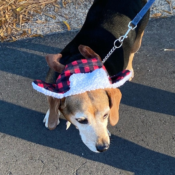 Helpingwomen Live Notification - Picture 8 of 8